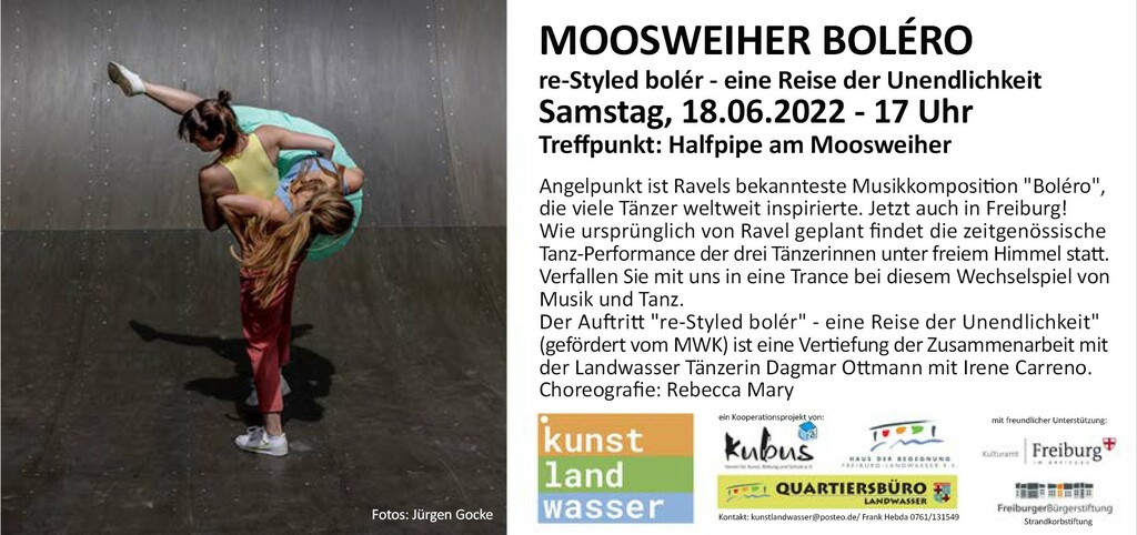 Moosweiher Bolero II - kunst land wasser